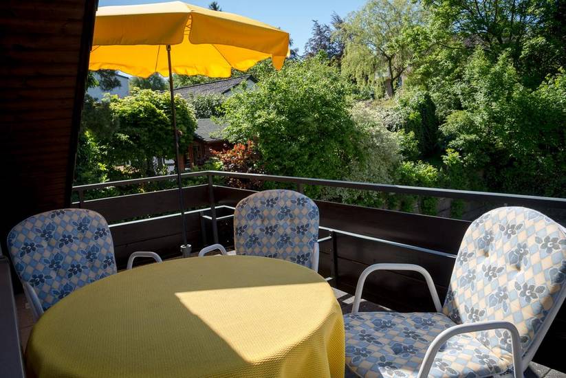 Ferienwohnungen-Landhotel Westfalenhof 3* Германия, Виллинген