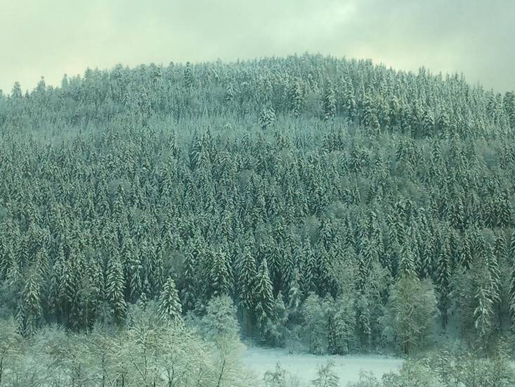 Ferienwohnung Waldblick Германия, Бад-Вильдбад