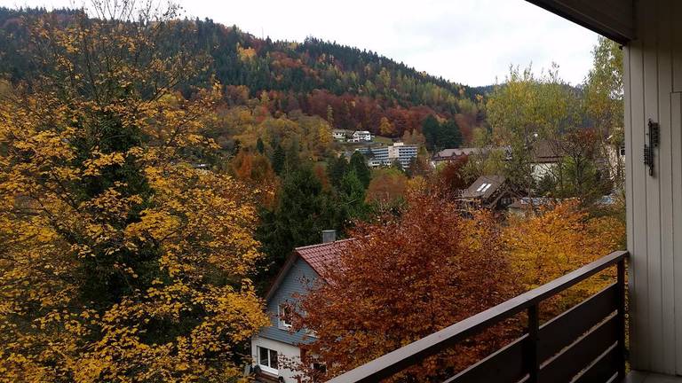 Bergblick Ferienwohnung Schwarzwald