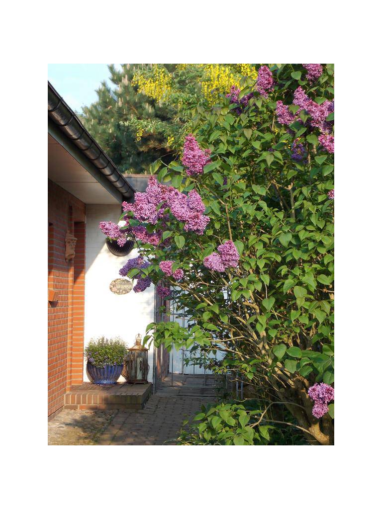 Ferienhaus-Juergensen
