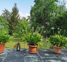 Ferienhaus Appold в Вернигероде