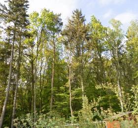 Туры в Bungalow Warnemunde am Weststrand в Германии