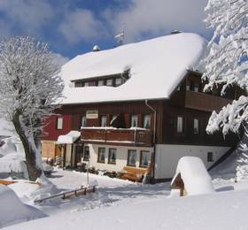 Туры в Apartment Todtnauberg 2 в Германии