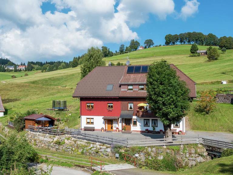 Apartment Todtnauberg 2