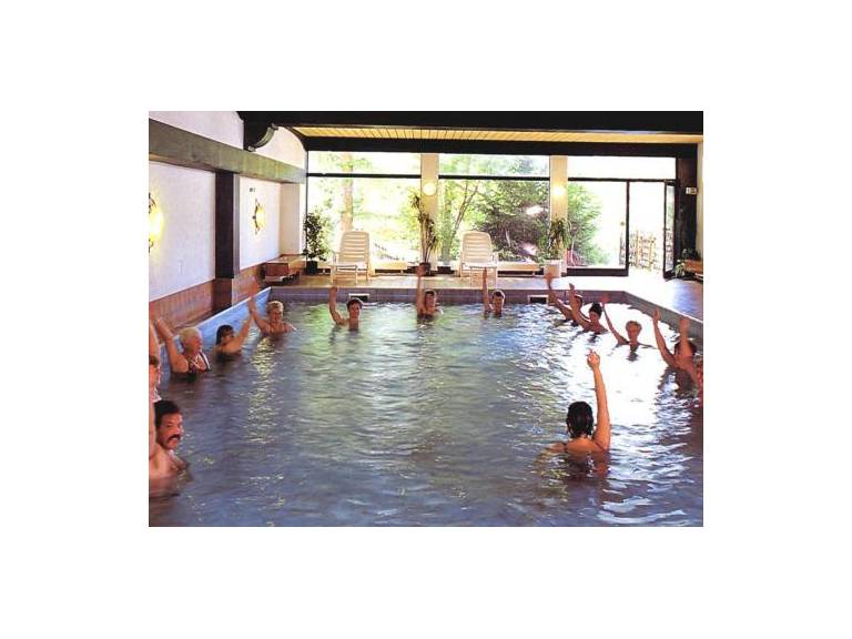 Hotel Lowen