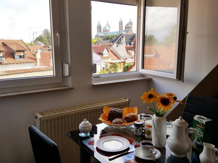 Domizil Domblick Speyer 3* Германия, Шпейер