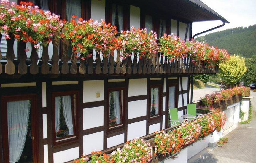 One-Bedroom Apartment Schmallenberg 04 3* Германия, Шмалленберг