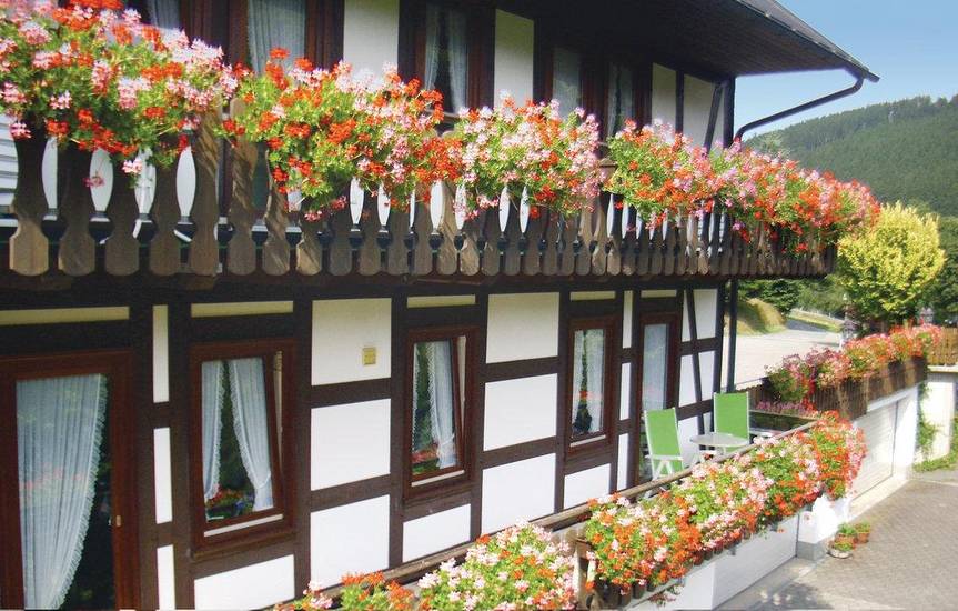 Three-Bedroom Apartment Schmallenberg 05 3* Германия, Шмалленберг
