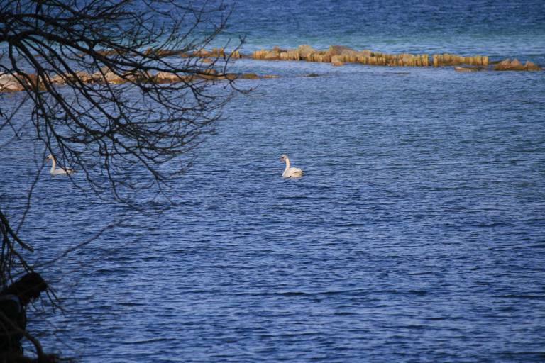 Ostseeblick Sassnitz