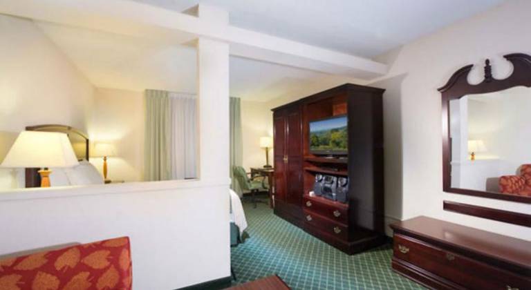 Fairfield Inn & Suites Atlanta Perimeter Center
