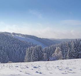 Туры в Holiday home St. Andreasberg 38 в Германии