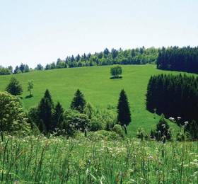 Туры в Holiday home St. Andreasberg 41 в Германии