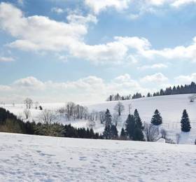 Туры в Holiday home St. Andreasberg 51 в Германии