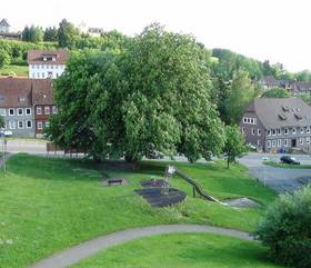 Туры в LeRelax im harz в Германии