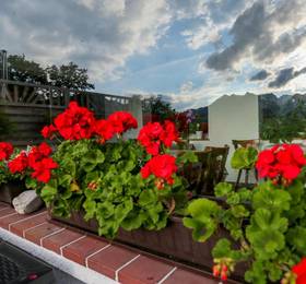 Отдых в Pension Rauschberghof - Германия, Рупольдинг