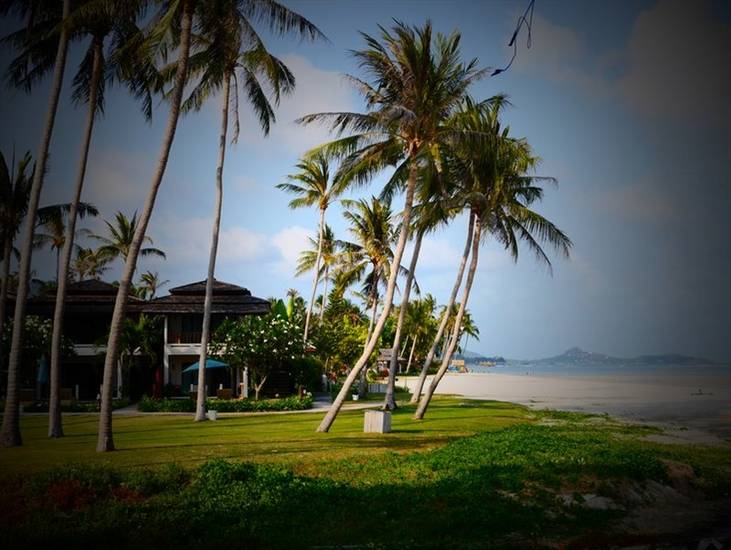 Samui Orchid Suites Resort 3* Таиланд, Самуи