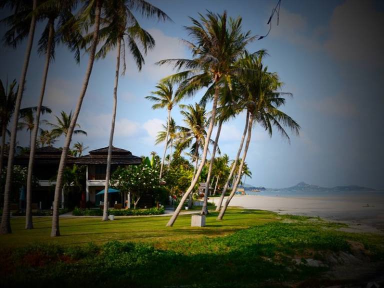 Samui Orchid Suites Resort