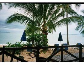 Отдых в Sea Fan Beach Resort - Таиланд, Самуи