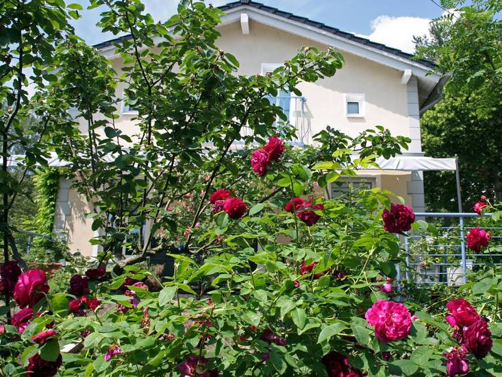 Stadtoase-Potsdam Wohnung mit 2 Schlafzimmer Германия, Потсдам