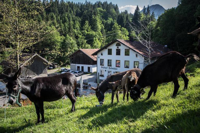 Gasthof Fallmuhle