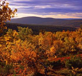 Туры в Lapland Hotel Sirkantahti в Финляндии