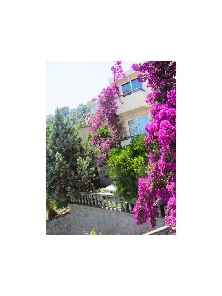 Villa Teona Apt