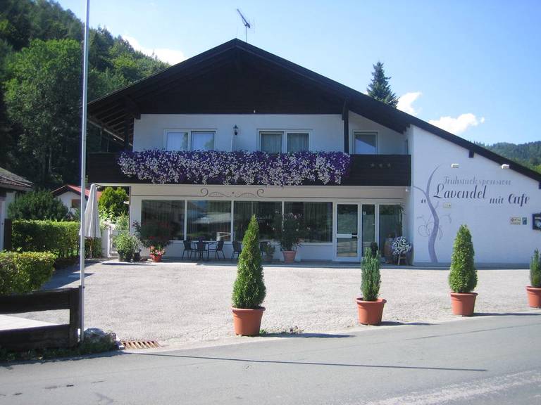 Fruhstuckspension Lavendel