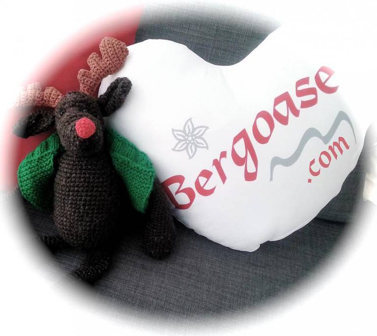 Bergoase
