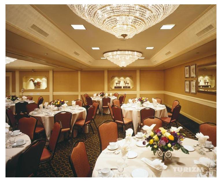 Sheraton Palo Alto Hotel