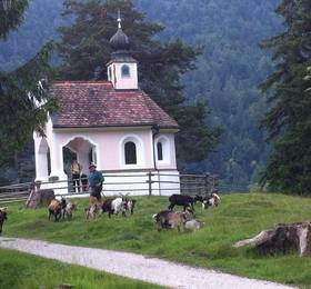 Отдых в Pension Karner - Германия, Миттенвальд