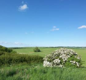 Отдых в Hoftresidenz Ferienwohnungen Paradies Rugen - Германия, Миддельхаген