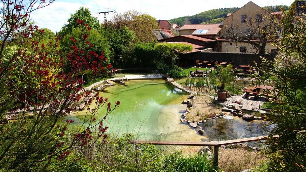 Landhotel Gut Wildberg 3* Германия, Саксония
