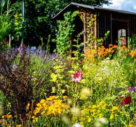 Туры в Landhotel Gut Wildberg в Германии