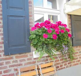 Apartment van Haags Hof в Мербуше