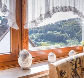 Отдых в Apartment Theresia 2 - Германия, Медебах