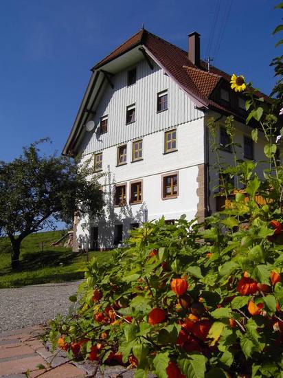 Fehrenbacherhof Naturgastehaus 4* Германия, Лаутербах