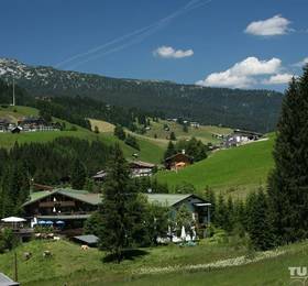 Ifa Alpenhof Wildental Hotel в Миттельберге