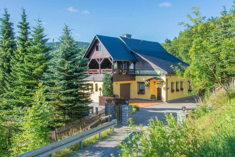 Pension Am Zechengrund Германия, Курорт Обервизенталь