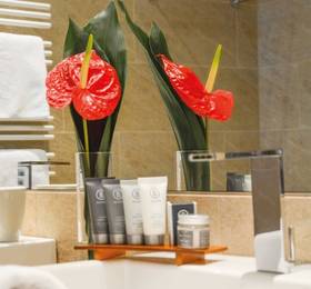 Туры в Tauern Spa World Betriebs Gmbh & Co Kg в Австрии