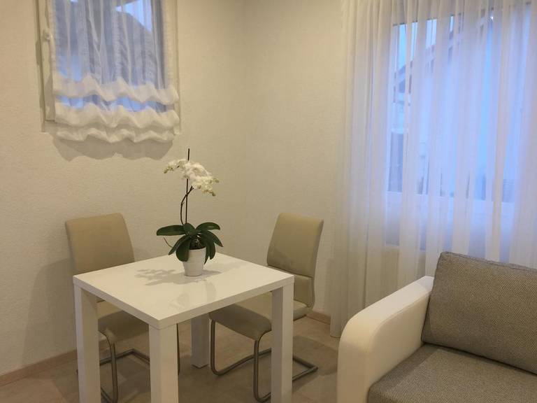 Exclusive Airport Apartment