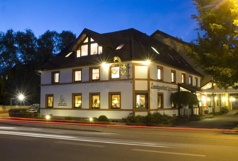 Hotel Landgasthof Schwanen 3* Германия, Кель-на-Рейне