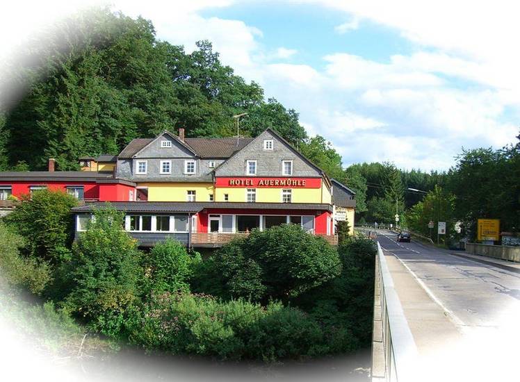 Hotel Auermuhle Германия, Хамм