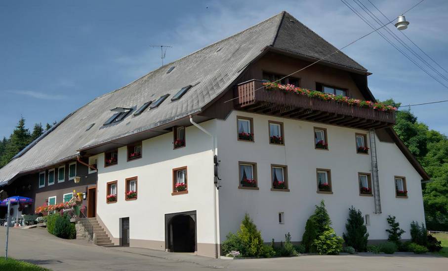 Gasthaus Pension Zum Lowen Германия, Графенхаузен