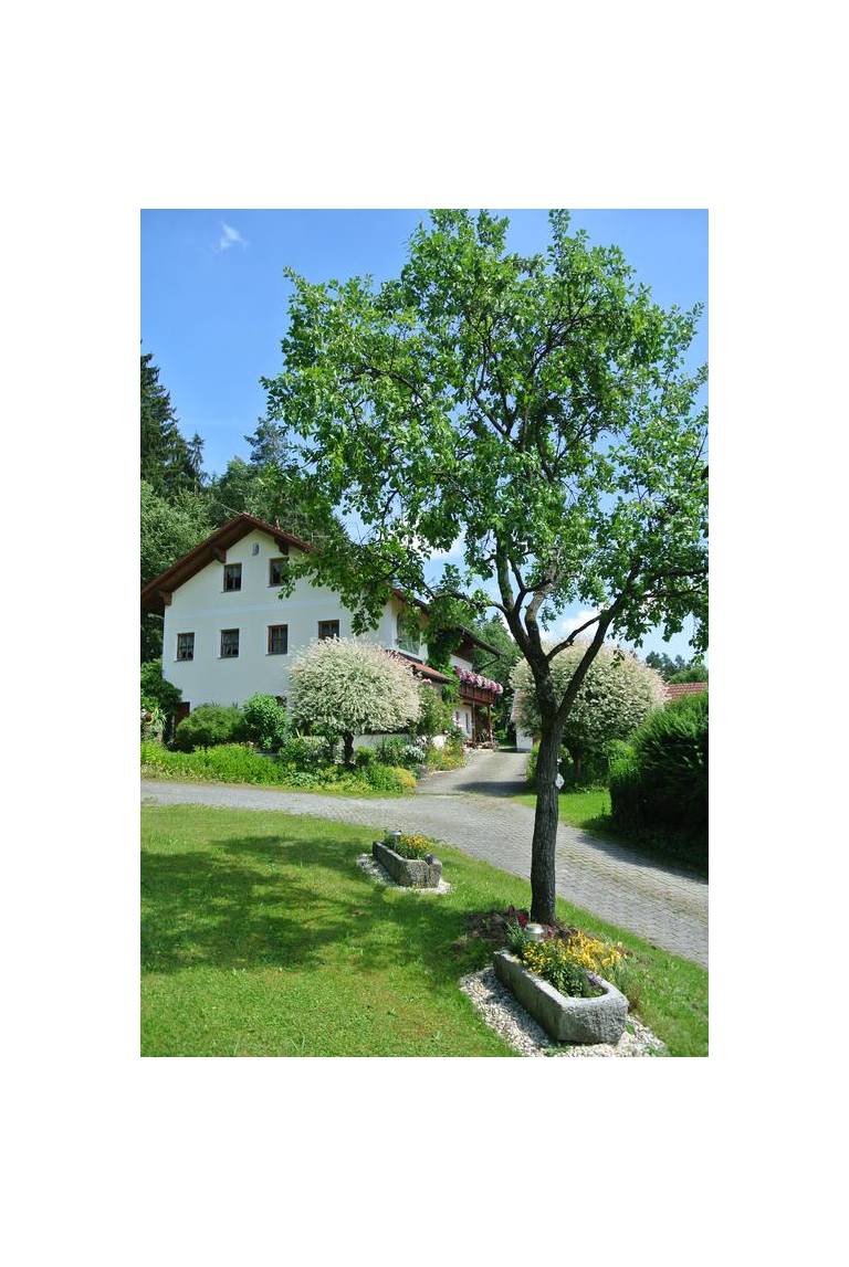Haus Am Waldrand - Ferienwohnung Augustin