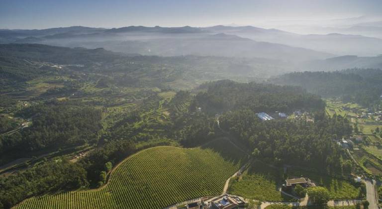 Monverde - Wine Experience Hotel