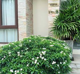 Montien House в Самуи