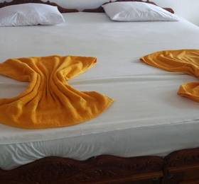 Туры в Dephani Beach Hotel в Шри-Ланке