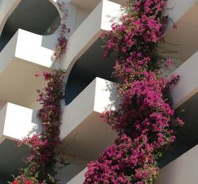Отдых в Pamplona Hotel - Испания, Майорка