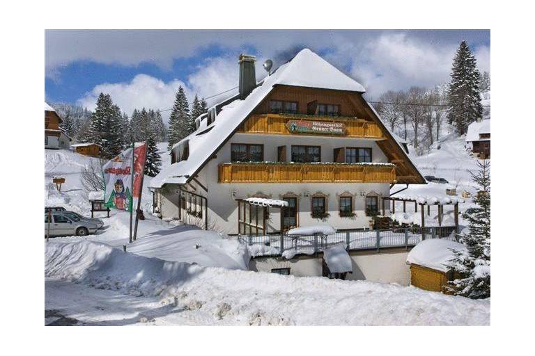 Hotel Hohengasthof Gruner Baum