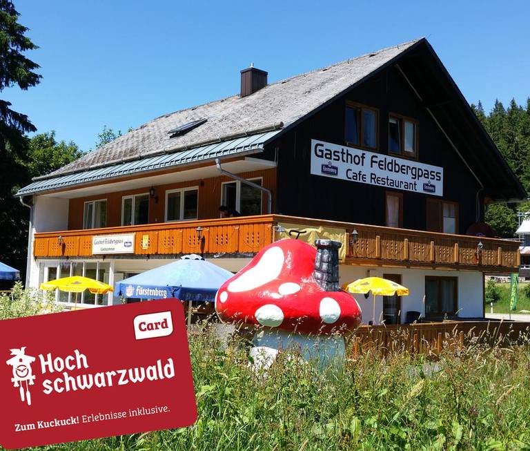 Hotel Restaurant Feldbergpass
